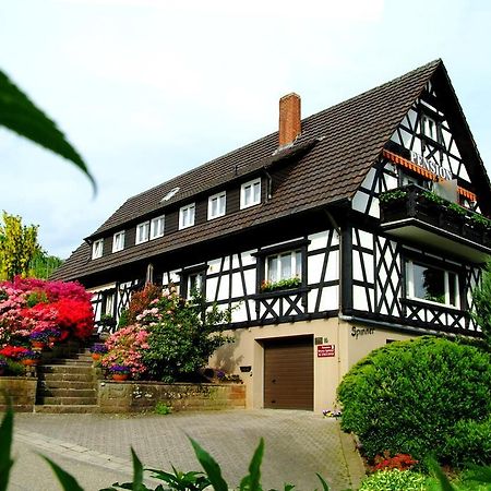Pension Am Weinberg Sasbachwalden Exterior photo