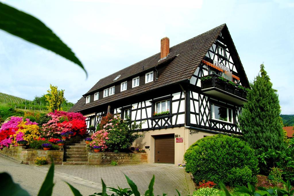 Pension Am Weinberg Sasbachwalden Exterior photo