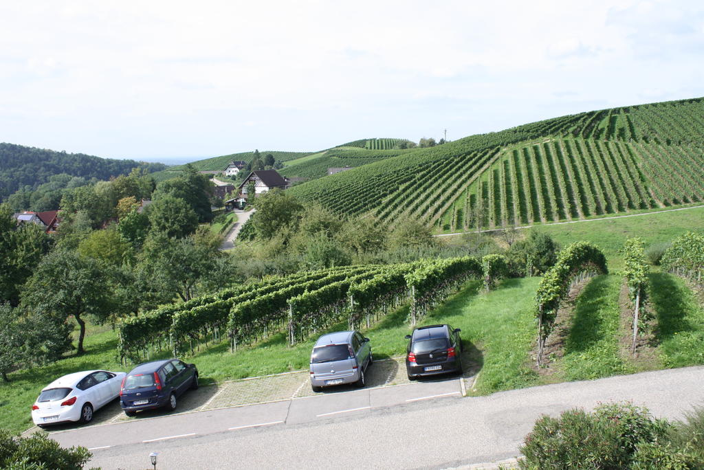 Pension Am Weinberg Sasbachwalden Exterior photo